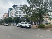 Hình ảnh Bán 100m căn góc đất đấu giá Tầm Dâu, Việt Hưng, view vườn