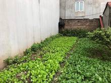 Hình ảnh Chính chủ bán  65.5m2 đất đối diện HimLam Thạch Bàn ngõ ô tô 7 chỗ .