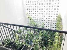 Hình ảnh Bán nhà Bà Hạt Quận 10 chỉ 5 tỷ hơn, có sân đậu xe hơi. 4 tầng BTCT