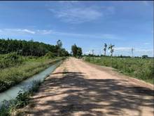 Hình ảnh Đất vườn củ chi 500m2 giá rẻ trước tết, view kênh  sổ hồng riêng.