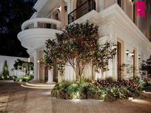 Hình ảnh HÀNG HIẾM! lô Mặt tiền phường Bình An, 382m2, Giá chỉ 144 triệu/m2!