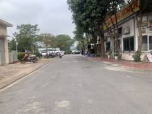 Hình ảnh Bán siêu phẩm lô góc 2 mặt đường, view vườn hoa khu đấu giá Tầm Dâu