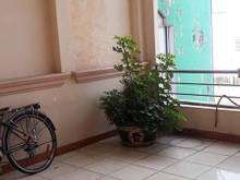 Hình ảnh GẤP HXH Tránh 5 tầng  - CỘNG HÒA Q Tân Bình. 101M2 CHỈ 12.3 TỶ.