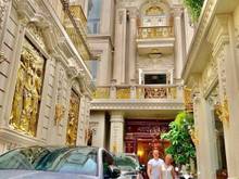 Hình ảnh Bán biệt thự sân vườn, dát vàng Nguyễn Đình Chiểu, Quận 1, 490m2