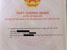 Hình ảnh Bán đất trồng lúa cách Bình Chánh 15 km xã Long Khê, Cần Đước, Long An