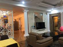 Hình ảnh Bán gấp biệt thự kđt sài đồng 285m2 x 4t mt 12m chỉ 28 tỷ ôtô tránh,