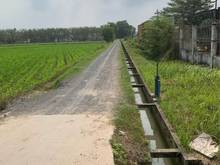 Hình ảnh Đất vườn củ chi 500m2 giá ngộp trước tết, sổ hồng riêng.