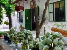 Hình ảnh Tôi cần bán đất Hoàng Hoa Thám, diện tích 130m2, ngang 12m, vuông vắn