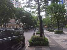 Hình ảnh Tôi cần bán đất Đội Cấn, diện tích 85m2, ngang 7.7m. Ngõ 3m. Ô tô 20m