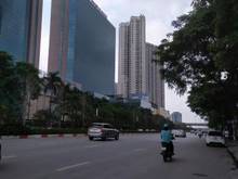 Hình ảnh Bán nhà Trần Duy Hưng - Cầu Giấy: 290m2; 5 tầng, MT: 8m; Giá: 39 tỷ