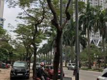 Hình ảnh Cần bán cc 7A lê đức thọ 76m2, 2 ngủ, chỉ hơn 1 tỷ, sđcc