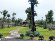 Hình ảnh nhà vườn nghĩ dưỡng thị trấn củ chi sổ hồng riêng