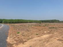 Hình ảnh Đất Tân Lợi 1000m2 giá chỉ 300 triệu sổ sẵn gần kcn