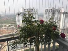 Hình ảnh Cần bán căn góc 3 ngủ 87m2 full đồ dự án Xuân Mai Riverside Mỗ Lao