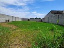 Hình ảnh Chủ ngộp bán hơn 2000m2 vườn, giá 1tỷ9, Ngay TL2, Tân Thông Hội,Củ chi