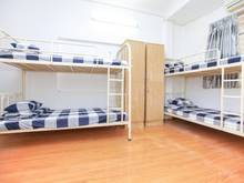 Hình ảnh Quận 4- Kí Túc Xá Xóm Chiếu giá rẻ sang chảnh