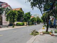 Hình ảnh Bán Nhà MT Khu ViP Nguyễn Thị Thập. Ngang khủng 6M. 138M2. 22.3TỶ