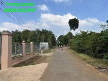 Hình ảnh Bán 1550 m2 đất Xã Bình Ba,Châu Đức,BRVT giá 7.2 tỷ