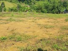 Hình ảnh Bán đất nghỉ dưỡng Thạch Thất, ô tô tránh, 420m2