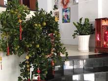 Hình ảnh Bán nhà đẹp 5 sao Đường số 51 Phạm Văn Chiêu P14 GV 50m2 5.15 tỷ.