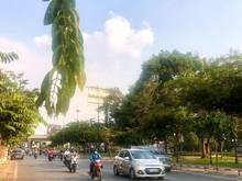 Hình ảnh Bán nhà 92m2 mặt tiền kinh doanh đường Bạch Đằng P3 Gò Vấp giá 22tỷ5