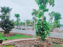 Hình ảnh Đất vườn nhuận đức DT: 1010m2 cây hàng năm,1250Ty/lô