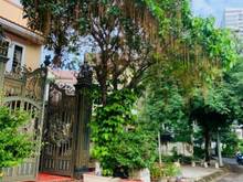 Hình ảnh Cho thuê villa sân vườn nội thất gỗ sang trọng Đặng Thùy Trâm, P13, BT