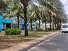 Hình ảnh Biệt Thự Trung Sơn Lô Góc View Đẹp 20*20 Ngay Himlam