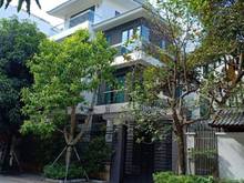 Hình ảnh Cho thuê biệt thự mễ trì 500m2, full nội thất chỉ 35tr