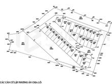 Hình ảnh Cần bán lô góc 81m khu đấu giá Làng Cam, Cổ Bi