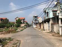 Hình ảnh Bán gấp lô đất 3 mặt đường khu đấu giá Cổ Giang, Lệ Chi, Gia Lâm