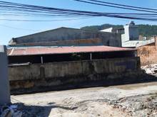 Hình ảnh Nhà cấp 4 (bán đất tặng nhà cấp 4)