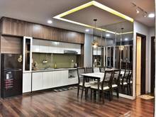 Hình ảnh Cho thuê chung cư Sơn Trà Ocean View 2PN view thanh phố sống động