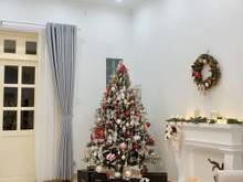 Hình ảnh Cho thuê Villa Dễ Thương nằm trong khu compound Bình An, Quận 2
