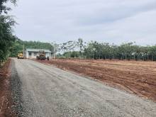Hình ảnh Thổ cư mặt tiền giá rẻ bình phước