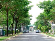 Hình ảnh Bán biệt thự The Peak Garden, Quận 7. DT 443.1 m².