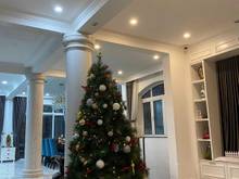 Hình ảnh bán biệt thự VIP Cityland Riverside Q7, ngay BigC Nguyễn Thị Thập