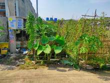 Hình ảnh Đất 420m2 thổ cư 100% tỉnh lộ 10 bình chánh,sổ hồng riêng