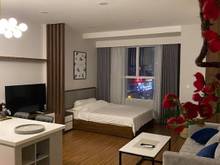 Hình ảnh Cho thuê Sunrise City View Quận 7 nhà đẹp NT CAO CẤP giá chỉ 11 triệu