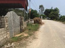 Hình ảnh Đất ngọc lẫm xã trường giang nông cống