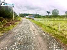 Hình ảnh Đất vườn củ chi 1000m2 giá ngộp, sổ hồng riêng, bao thuế phí sang tên.