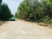 Hình ảnh Đất ven biển An Thới, ngay khu du lịch, cách biển 300m, sổ riêng.