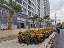 Hình ảnh Cc cần bán gấp CH Picity,phường thạnh Xuân,q12.An ninh tốt