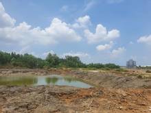 Hình ảnh Đất thổ vườn hẻm 274 Nguyễn Văn Tạo - Long Thới - Nhà Bè