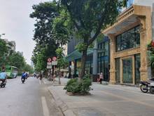 Hình ảnh 45 tỷ! Kinh Doanh Đỉnh! Mặt Phố Láng Hạ 138m2, 7 tầng, mt 6m