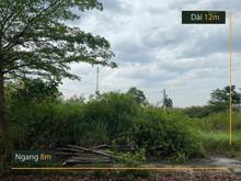 Hình ảnh Bán lô đất 8 * 12m, Nguyễn Văn Tạo, xã Long Thới, huyện Nhà Bè