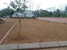 Hình ảnh Cần tiền bán gấp lô đất gần Đại lộ thăng long Hà Nội.
