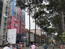 Hình ảnh Hàng hiếm MT Trần Hưng Đạo - Quận 1 - ngay khách sạn 5 sao Pullman