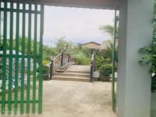 Hình ảnh 2000m2, 40m x 50m đường 12, khu Xương Cá đường 5m, Nguyễn Văn Tạo
