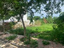 Hình ảnh Cần bán gấp lô đất nền KDC Phú Xuân, MTĐ lớn Huỳnh Tấn Phát, Nhà Bè.